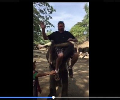 How to Ride an Elephant